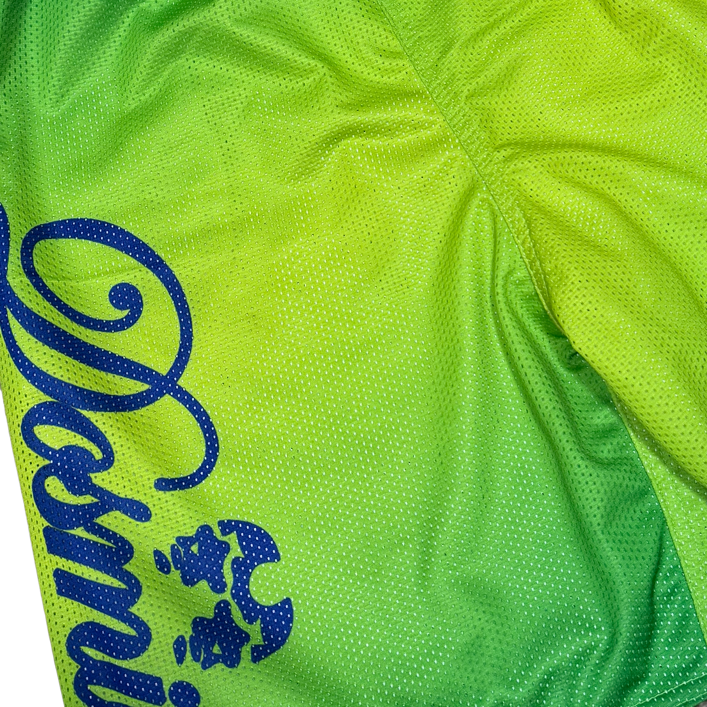 Dos Mil Tropical Mesh Short