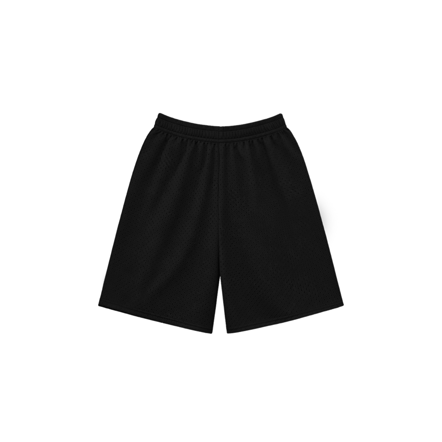 Dos Mil Mirror Mesh Short