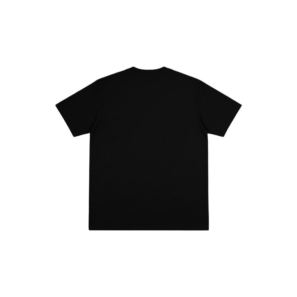 Black tee — back view